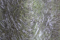 Cookley Green fibreglass roof work